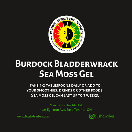 Burdock & Bladderwrack Sea Moss Gel