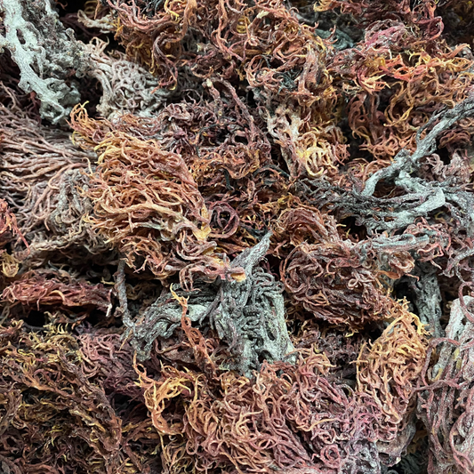 Raw Purple Sea Moss