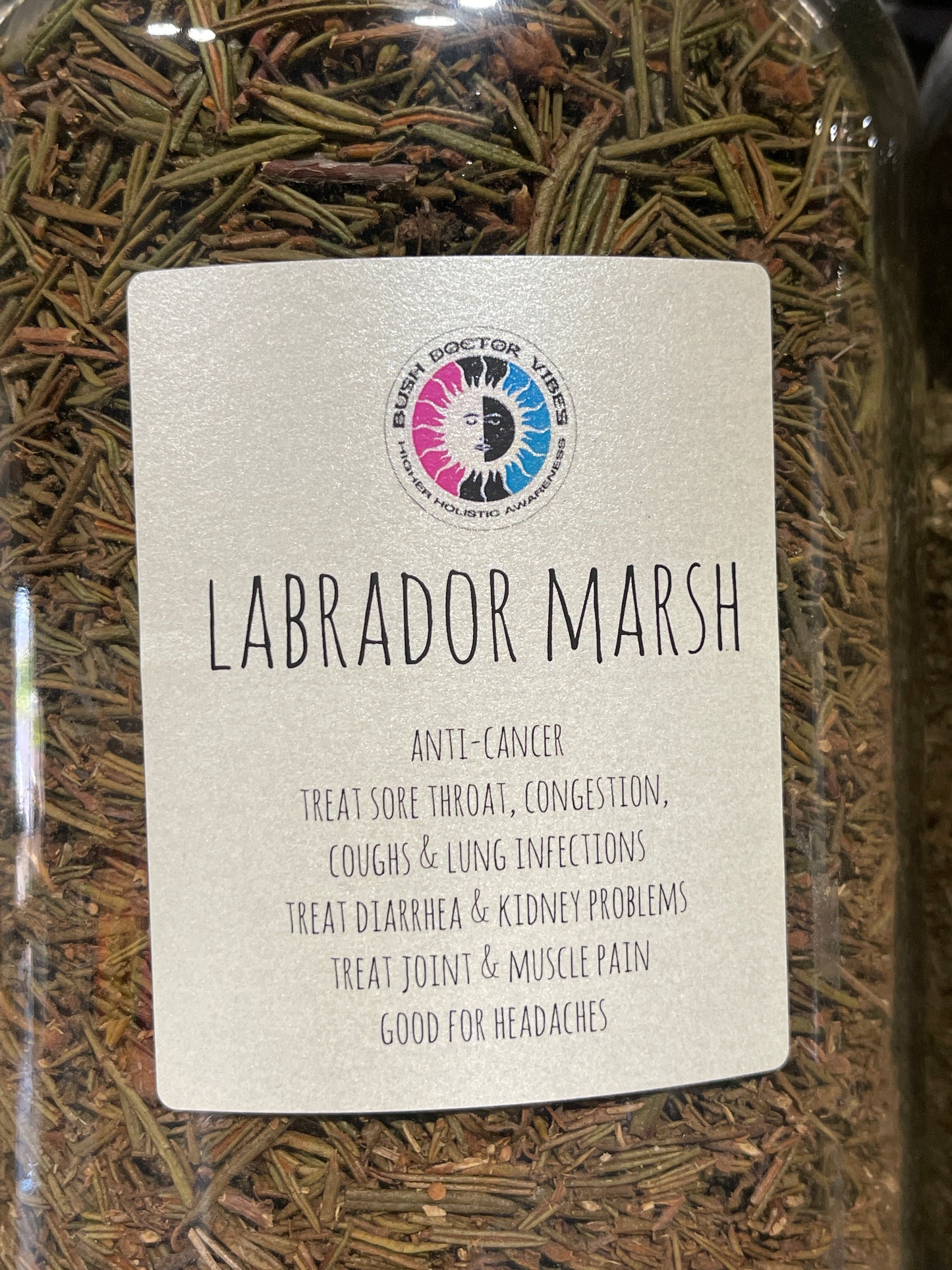 Labrador Marsh
